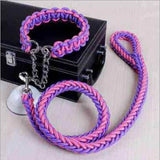 Double Strand Rope Large Dog Leashes Metal P Chain Buckle Contrast 1.2m Length