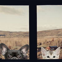 Funny 3D Cat/Dog Half a face Peeking car sticker