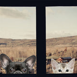 Funny 3D Cat/Dog Half a face Peeking car sticker