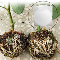 5pcs Plant Rooting Ball Grafting Rooting Growing Box Breeding Case Plant Root Growing Box For Garden 5/8cm In Diameter.