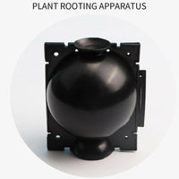 5pcs Plant Rooting Ball Grafting Rooting Growing Box Breeding Case Plant Root Growing Box For Garden 5/8cm In Diameter.