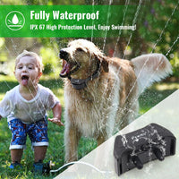 Ipets 618-1 New arrival! Dog shock collar bright color Remote 800M Waterproof and Rechargeable