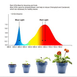 LED grow light full spectrum 5V USB for indoor seedling Garden Plants